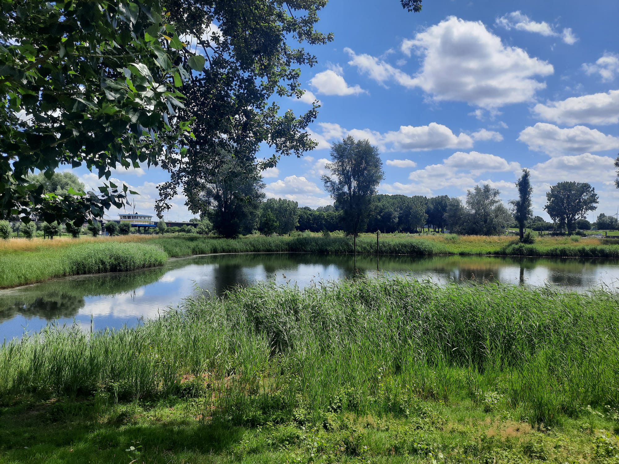 b8ce3414-eb16-44fa-974a-c396eb43f8e3